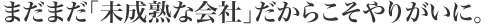 やりがいがある。